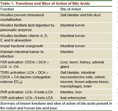 Table 1 from Pleiotropic roles of bile acids in metabolism. | Semantic ...