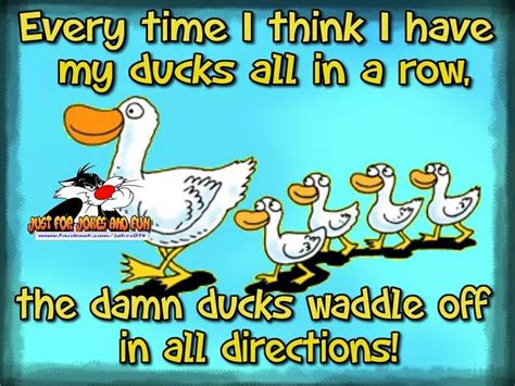 Ducks in a row? | Memes quotes, Funny, Lol