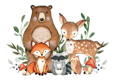 Transparent Woodland Animals Png