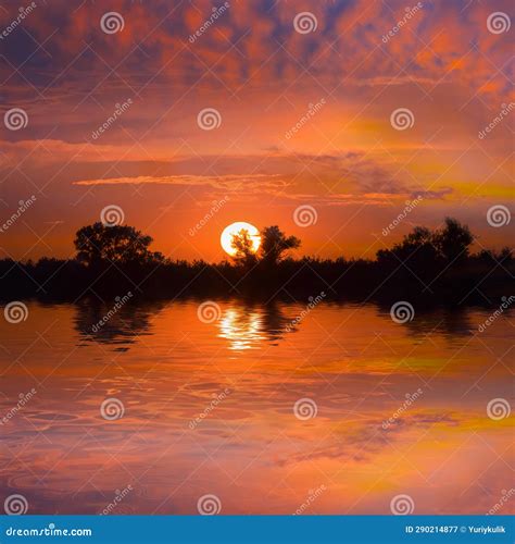 Tree Silhouette on Lake Coast at the Sunset Stock Image - Image of sunlight, nature: 290214877