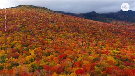 Breathtaking fall foliage colors line trees throughout New Hampshire