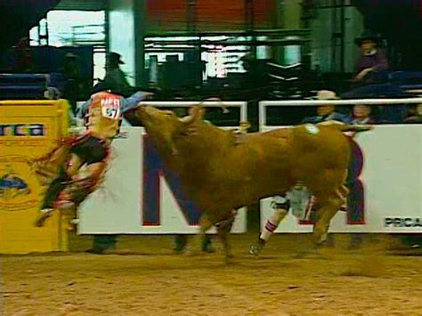 Yellow Jacket (Bucking Bull) - 1998 NFR, Rd 10 | Flying 5/Big Bend ...