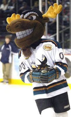 NHL Power Rankings: 25 Greatest AHL Mascots | Mascot, Hockey logos, Minnesota north stars