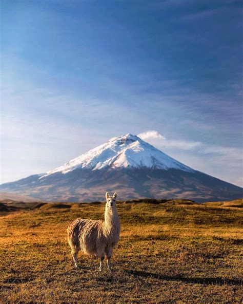 Ecuador Hop op Instagram: "Cotopaxi National Park is definitely one of South America's most ...