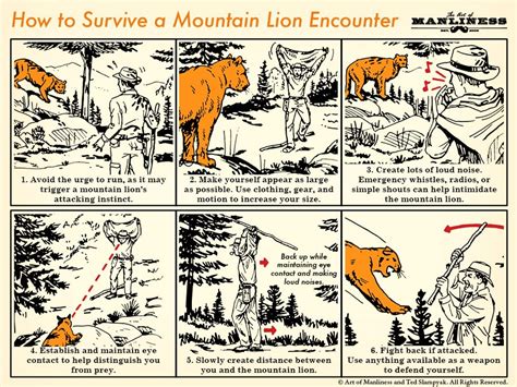 How to Survive a Mountain Lion Encounter