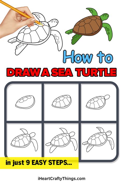 Sea Turtle Drawing — How To Draw A Sea Turtle Step By Step