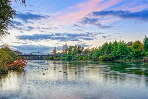 18 FUN Things to do in Hamilton, New Zealand - My Queenstown Diary