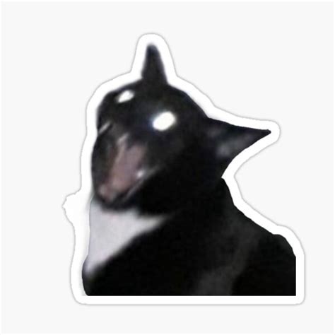 "Funny scary cat with glowing eyes - Memes" Sticker for Sale by pusla ...