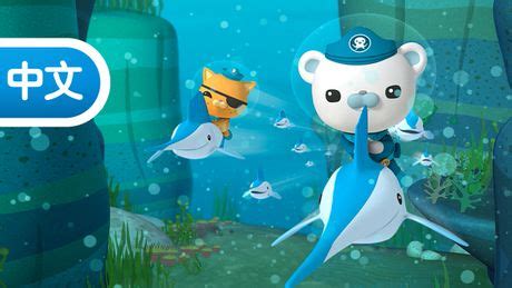 Octonauts (Mandarin) - The Octonauts And The Speedy Sailfish : ABC iview