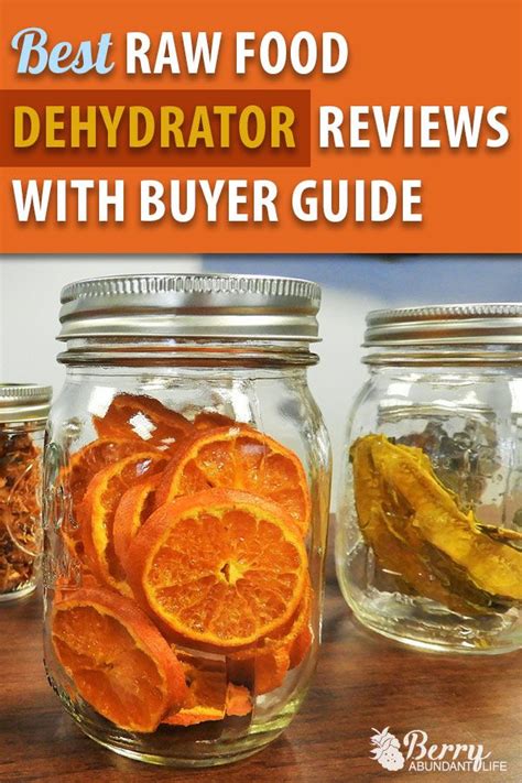 The Best Dehydrators For Raw Food | Food dehydrator reviews, Dehydrator recipes, Raw food diet