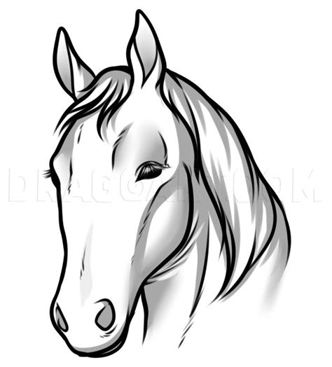 How To Draw A Simple Horse Head