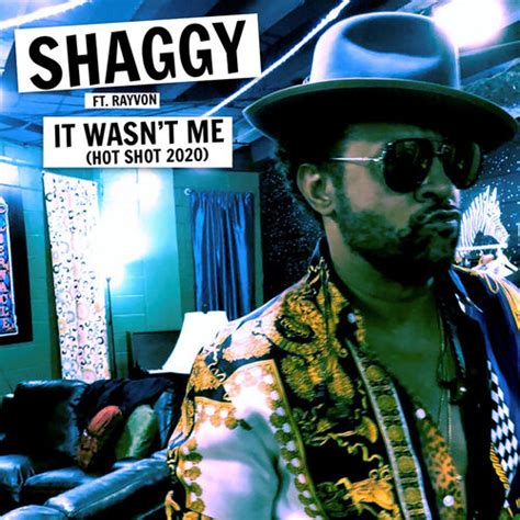 Shaggy - It Wasn't Me (Hot Shot 2020): lyrics and songs | Deezer