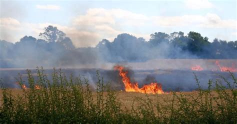 Devastating fire at Coulby Newham farm was 'a suspected arson attack' - Gazette Live - Newham ...