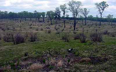 Wisconsin Important Bird Areas