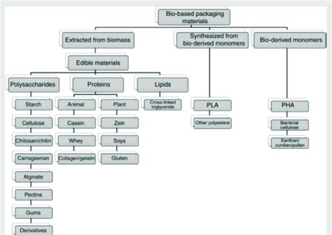 Schematic Representation of Bio-Based Packaging Materials Categorized... | Download Scientific ...