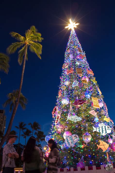 Honolulu Hale Christmas Tree by Rey Calamaan on 500px | Exterior christmas lights, Decorating ...