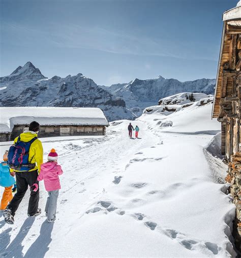 Jungfrau Ski Region | jungfrau.ch