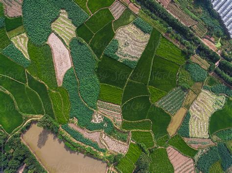 "Aerial Photography Bird-eye View Of Farm Farmland Nature Landsca" by Stocksy Contributor ...