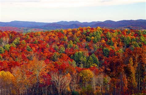 Fall colors stock image. Image of forest, appalachian - 27630737