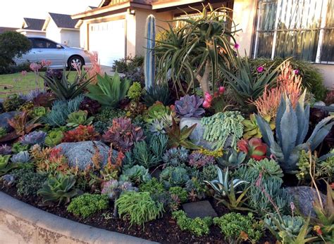 30+ Rock Gardens With Succulents – DECOOMO