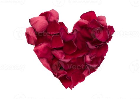 Petals with heart shape isolated on a transparent background 21333324 PNG