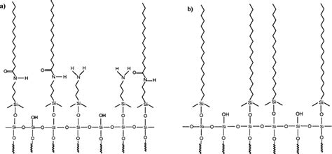 Surface model of the AP stationary phase possessing polar functional ...