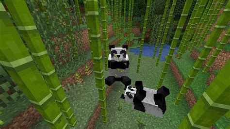 A Guide To How To Tame Pandas In Minecraft 2021