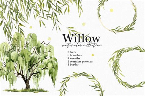 Willow Tree Watercolor Clipart Graphic by asya-sh · Creative Fabrica