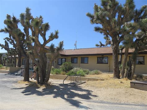 BLACK ROCK CAMPGROUND - Updated 2021 Reviews (Joshua Tree National Park, CA) - Tripadvisor