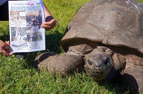 World’s oldest living land animal turns 191 years old - Veterinary Practice News