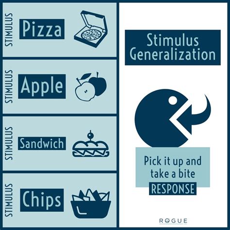 Stimulus And Response Generalization Examples