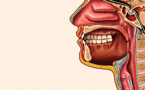 Glossectomy