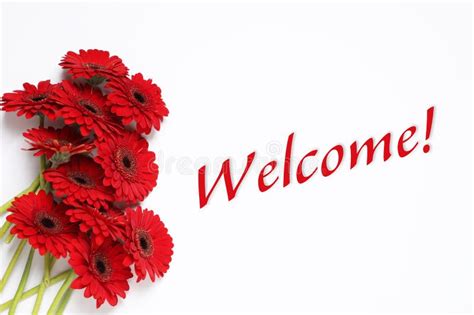 Welcome Team Flowers Stock Photos - Free & Royalty-Free Stock Photos ...