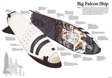 Spacex Starship Schematics