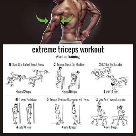 Pin on Triceps