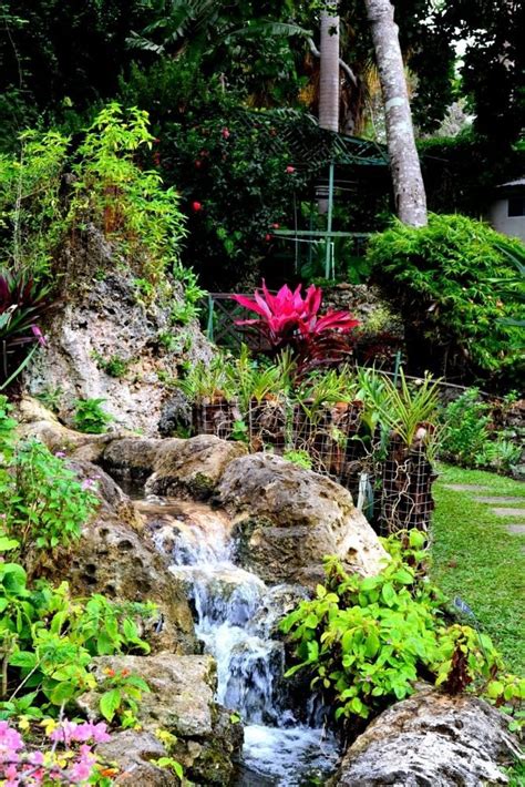 Andromeda Botanic Gardens in Barbados