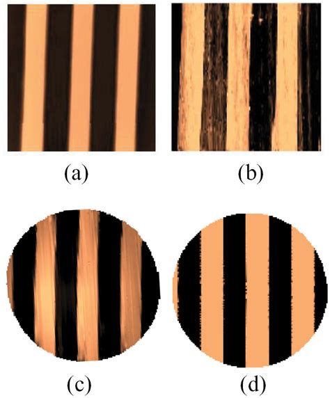 Comparison of the combinations of scanning patterns and reconstruction ...