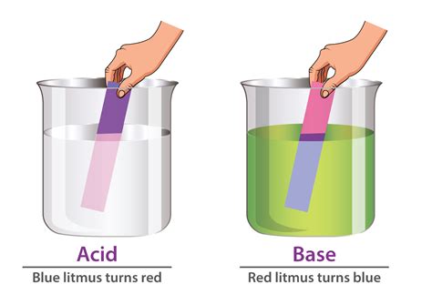 Acid and Base Indicators Lab Activity ⋆ iTeachly.com