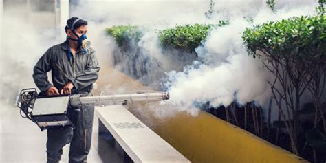 Pacific Cross Wellness Digest - - Event: The Importance of Fumigation