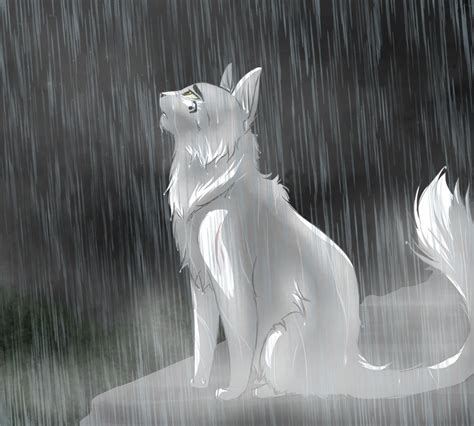 Whitestorm by RiverSpirit456 on DeviantArt