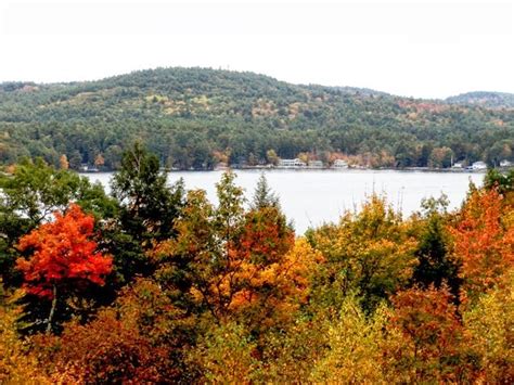 Designs for Daley Living: Fall Foliage in New Hampshire's Lake ...