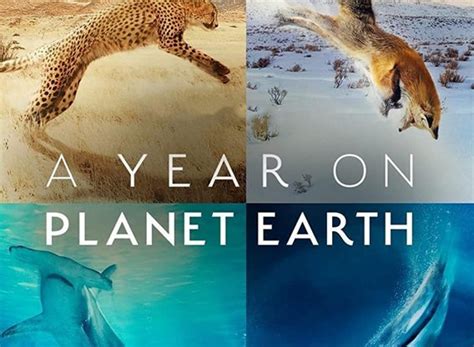 A Year on Planet Earth TV Show Air Dates & Track Episodes - Next Episode