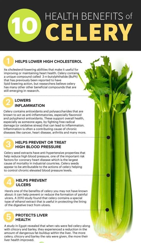 Health Benefits Of Celery Juice