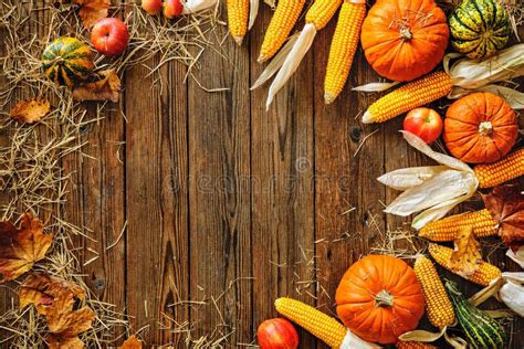 Harvest or Thanksgiving Background Stock Photo - Image of background, gourds: 77390804