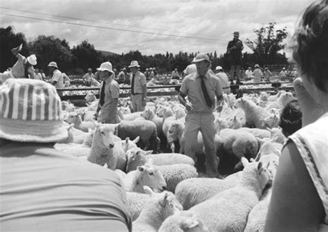 1980s hats – Rural clothing – Te Ara Encyclopedia of New Zealand