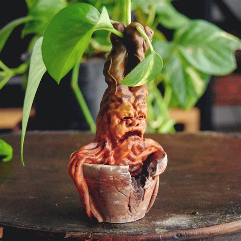 STL file Mandrake Plant - Harry Potter 🌿・3D printer model to download・Cults