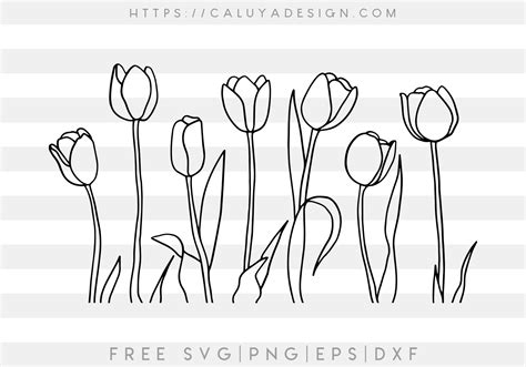 Free Tulip Outline SVG Cut File - CALUYA DESIGN