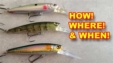 Top 5 Baits For Early Spring Bass Fishing! (How To Fish Them) | Video ...