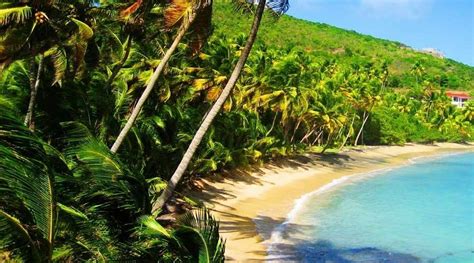 Bequia Beaches | Beach view, Bequia, Dream vacations