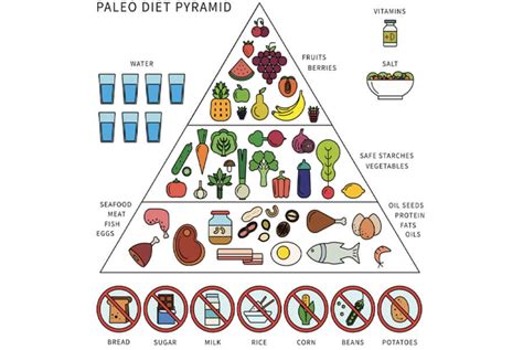 What is the Paleo Diet? Also Known as the Caveman's Diet Plan